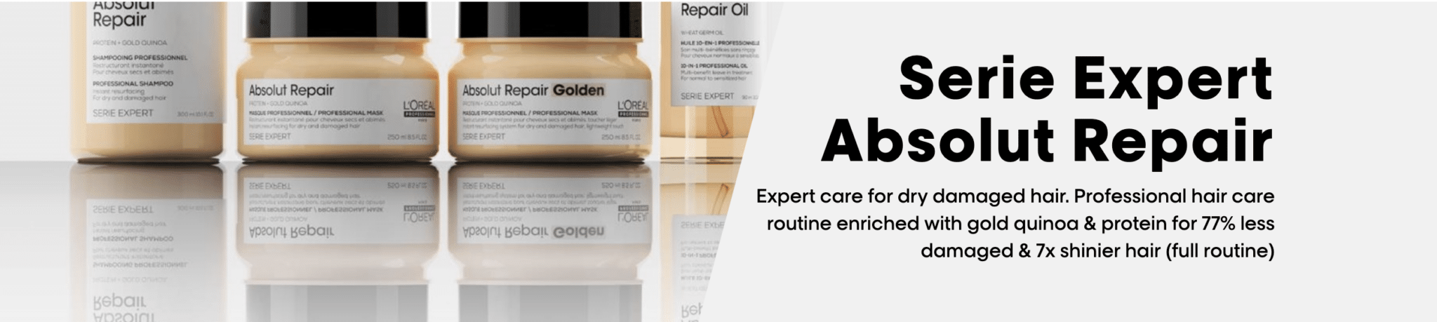 Absolu Repair